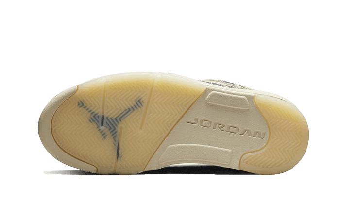 Air Jordan 5 Low Expression