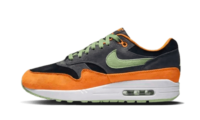 Nike Air Max 1 PRM Duck Anthracite