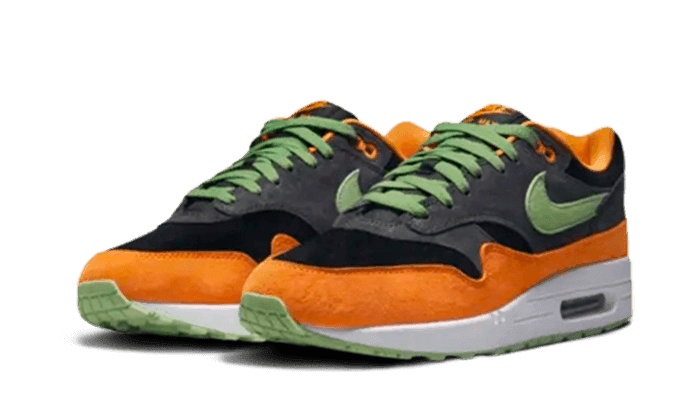 Nike Air Max 1 PRM Duck Anthracite
