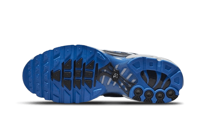 Nike Air Max Plus SE Social FC
