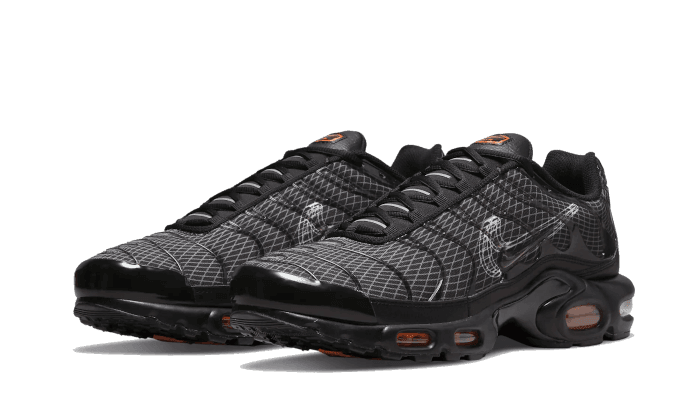 Nike Air Max Plus 3D Swoosh Black