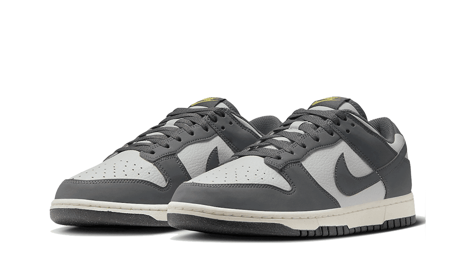 Nike Dunk Low Next Nature Iron Grey Lightning
