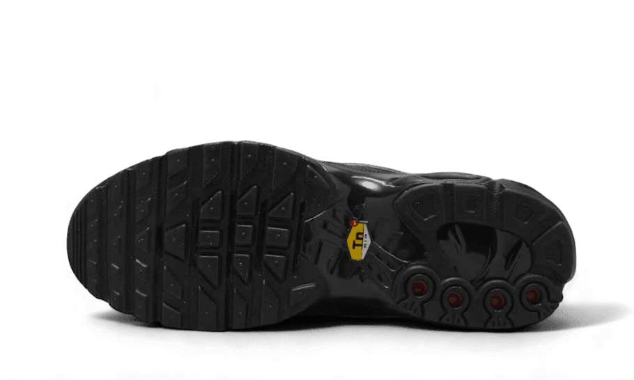 Nike Air Max Plus Tiempo Black White