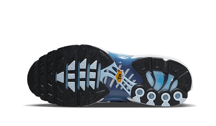 Nike Air Max Plus University Blue Gradient