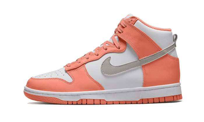Nike Dunk High Salmon Grey