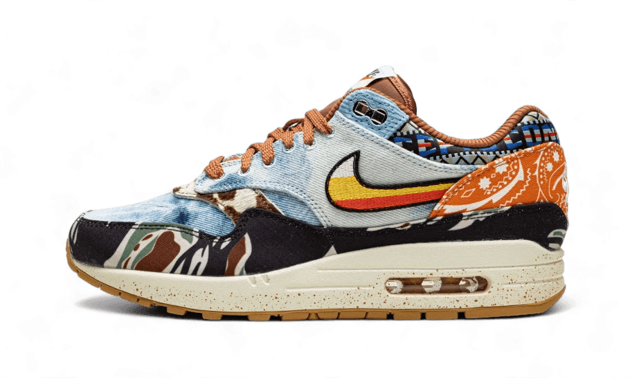 Nike Air Max 1 SP Concepts Heavy