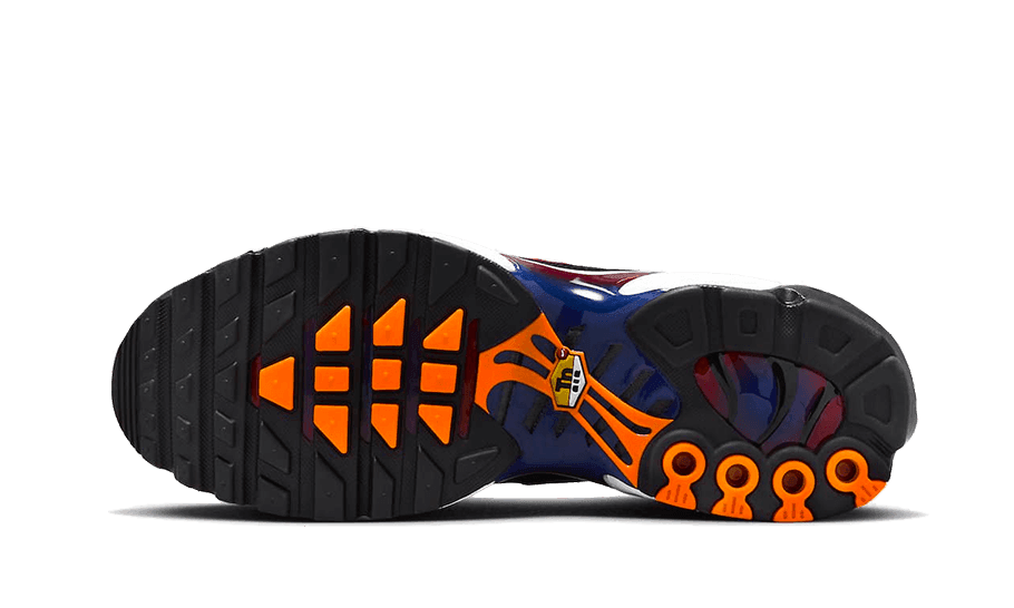 Nike Air Max Plus Patta FC Barcelona