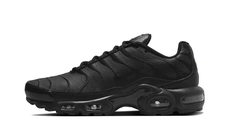 Nike Air Max Plus Triple Black Leather