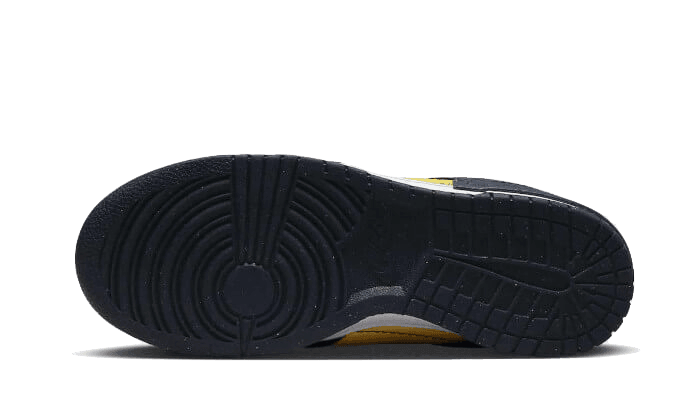 Nike Dunk Low Disrupt 2 Michigan