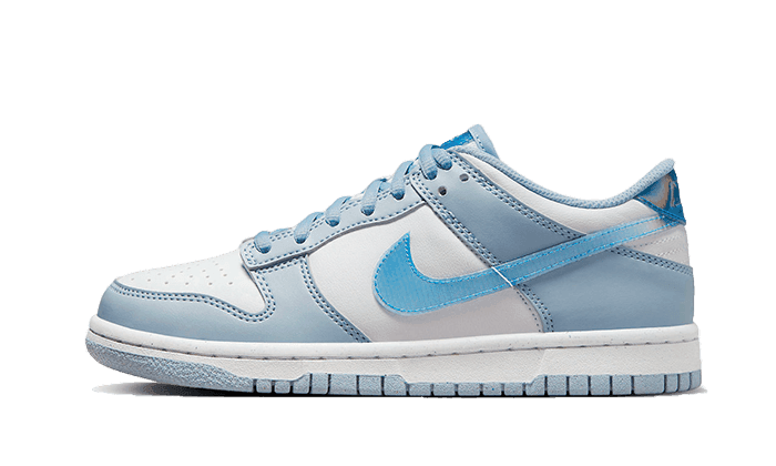 Nike Dunk Low Hologram