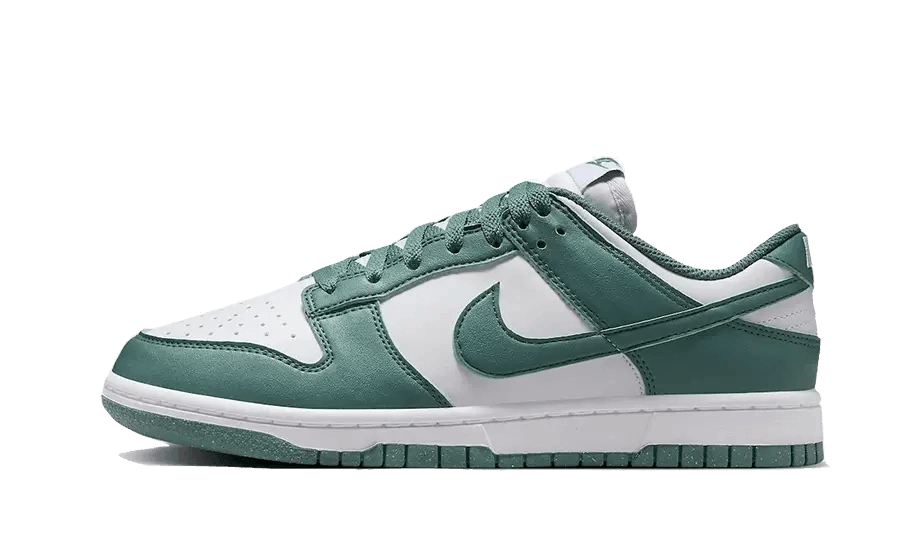 Nike Dunk Low Next Nature Bicoastal