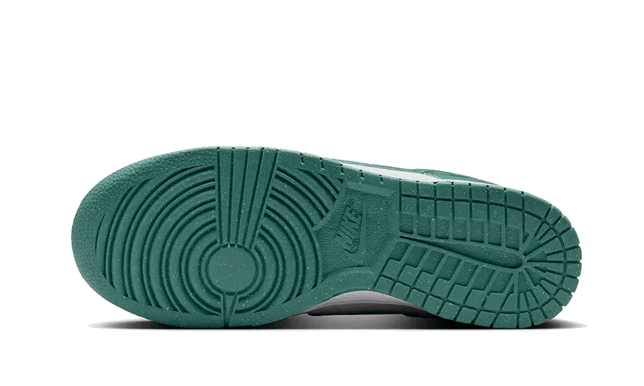 Nike Dunk Low Next Nature Bicoastal