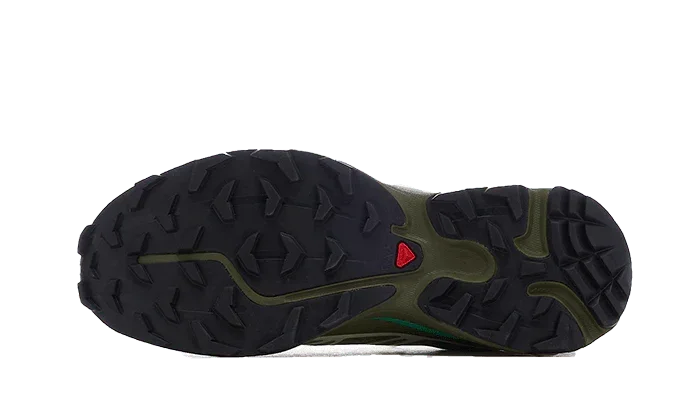 Salomon XT-6 Dried Herb
