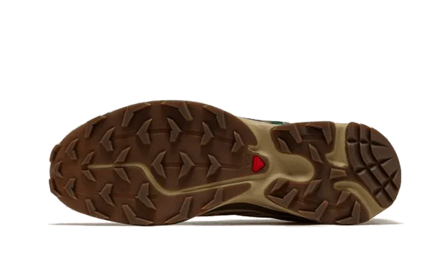 Salomon XT-6 Rubber Lizard